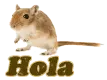 Hola