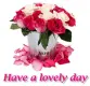 have a lovely day