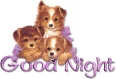 Goodnite