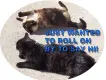 Rolling in to say Hi!