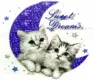 dreams