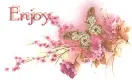 enjoy