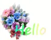 Hello