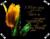 Wonderful day 