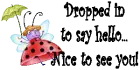 ~Ladybug~