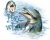 dolphins with hey whats up