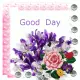 Good