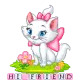 Hi Friend