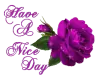 Have A Nice Day
