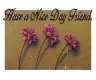 Nice day