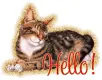Hello!