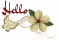 Hello