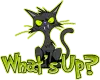 What's Up?