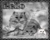 Cats Hello