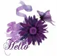 Hello