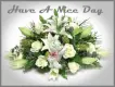 have a nice day
