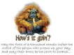 How's it goin?