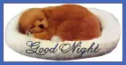 Good Night