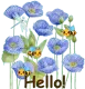 Hello!