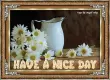 Have a nice day