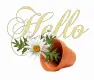 Hello
