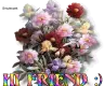 Hi Friend