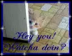 hi