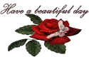 have a beautiful day