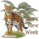 Happy new week