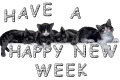 Happy new cat week