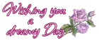 purple rose with day