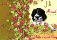 Hi Friend Have a great Day