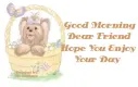 Good Morning friend