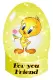 Snowglobe Tweety