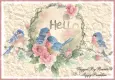 Hello