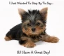 Hi have a great day