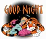 good night