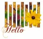 Hello
