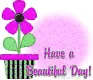 Have a nice day!
