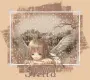 Hello-angel