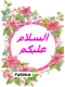 Salam Alaikum