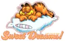 Good Night!