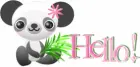 Hello