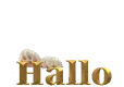 hello