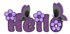 hello butterflies