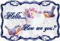 Hello