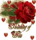 Red roses