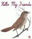 hello my friends