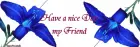 nice day 