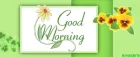 Good 